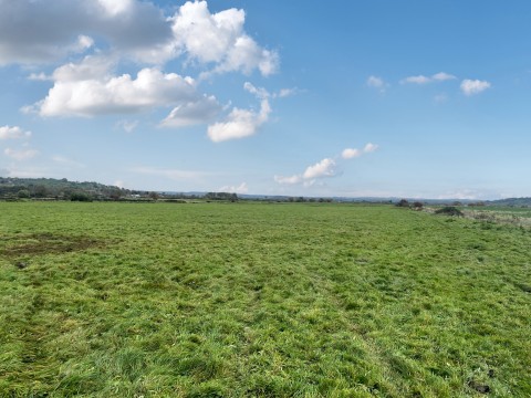 Click the photo for more details of Watchwell Drove, Glastonbury, Somerset