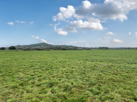 Click the photo for more details of Watchwell Drove, Glastonbury, Somerset