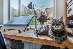 Images for Kings Castle Road, Wells, Somerset