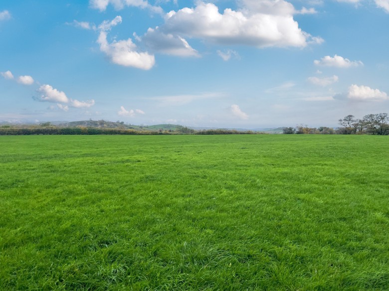 Click the photo for more details of Dummis Lane, Wookey, Somerset