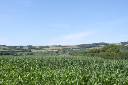 Images for Bleadon, Weston-Super-Mare, Somerset