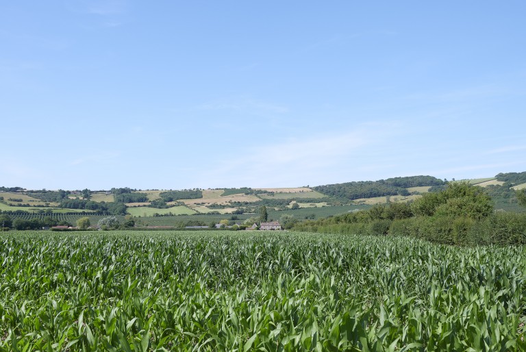 Images for Bleadon, Weston-Super-Mare, Somerset