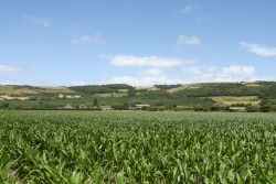 Images for Bleadon, Weston-Super-Mare, Somerset