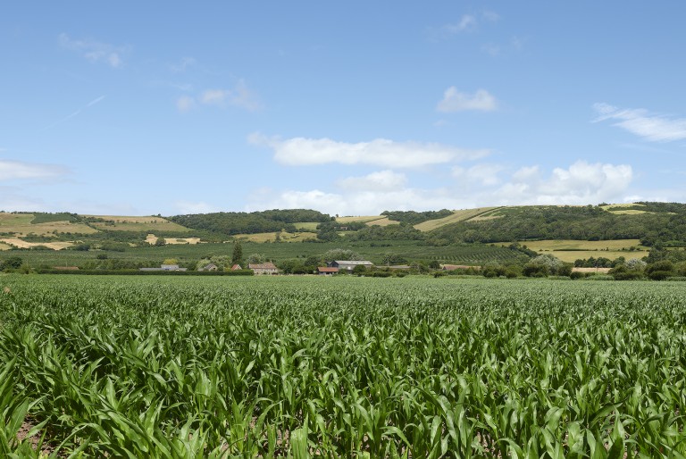 Images for Bleadon, Weston-Super-Mare, Somerset