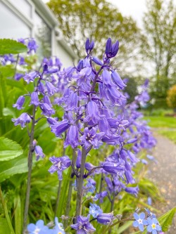 Images for Chapel Lane, Sway, Lymington, SO41