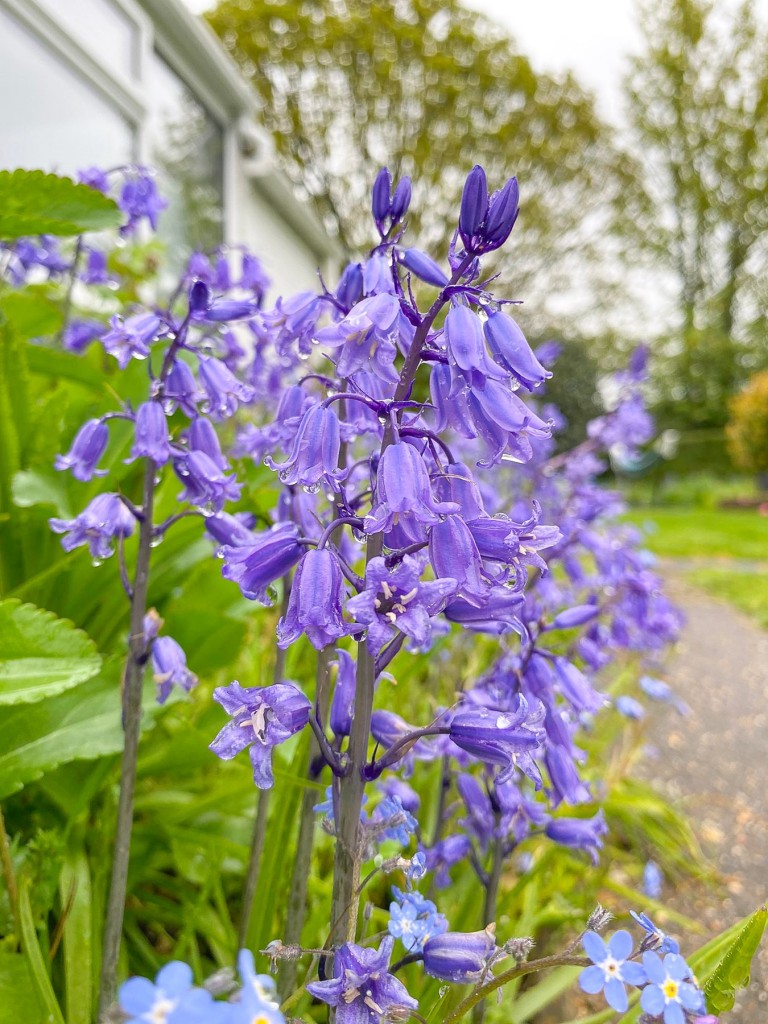 Images for Chapel Lane, Sway, Lymington, SO41