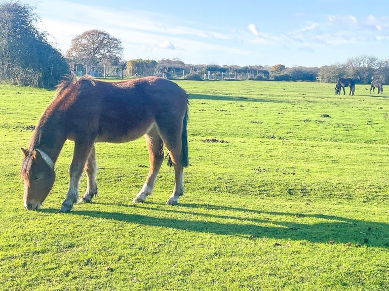 Images for Chapel Lane, Sway, Lymington, SO41