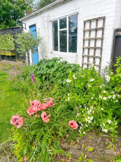 Images for Chapel Lane, Sway, Lymington, SO41