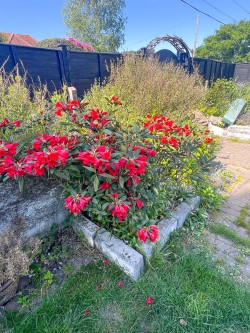 Images for Chapel Lane, Sway, Lymington, SO41