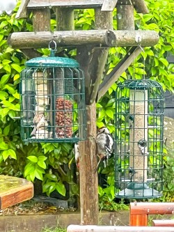 Images for Chapel Lane, Sway, Lymington, SO41