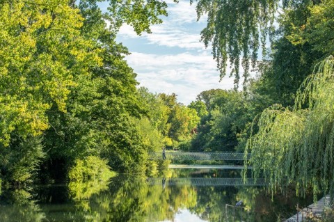 Click the photo for more details of Whitworth Way, Wimborne, BH21