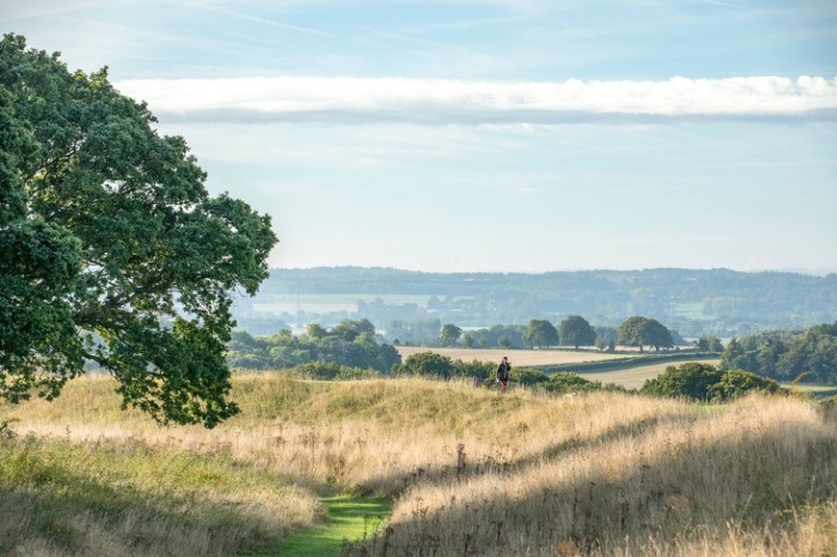 Images for Whitworth Way, Wimborne, BH21