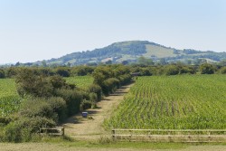 Images for Bleadon, Weston Super Mare, Somerset