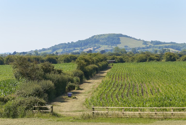 Images for Bleadon, Weston Super Mare, Somerset