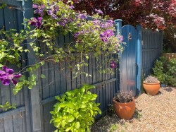 Images for High Street, Lyndhurst, SO43