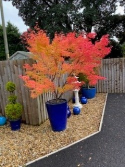 Images for Boreham Road, Warminster, Wiltshire