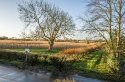 Images for Stone Allerton, Wedmore, Somerset