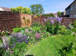 Images for Hyatt Place, Shepton Mallet, Somerset