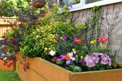 Images for Lower Buckland Road, Lymington, SO41