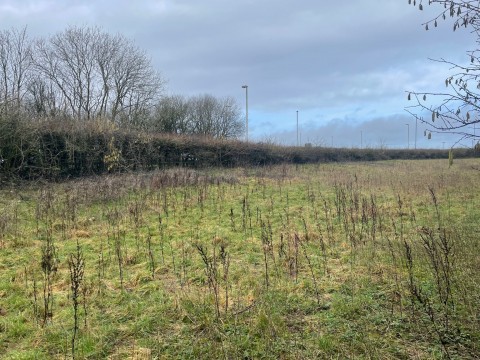 Click the photo for more details of Cannard's Grave, Shepton Mallet, Somerset