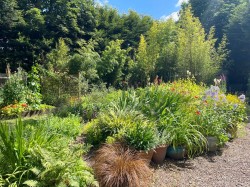 Images for Sway Road, Brockenhurst, SO42