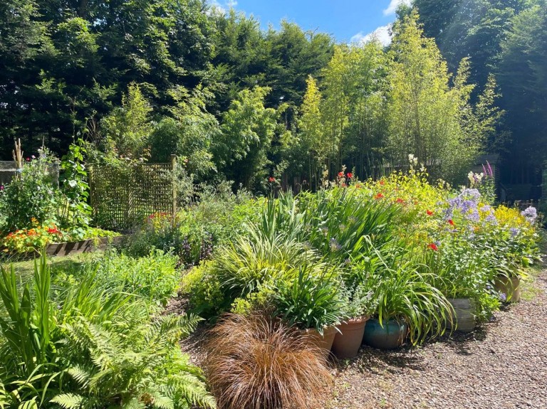 Images for Sway Road, Brockenhurst, SO42