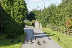 Images for Beckington, Frome, Somerset