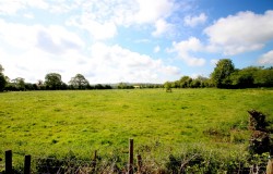 Images for WATLINGTON