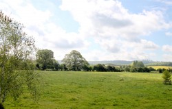Images for WATLINGTON
