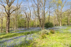 Images for Westfield Lane, St Leonards-on-Sea, East Sussex