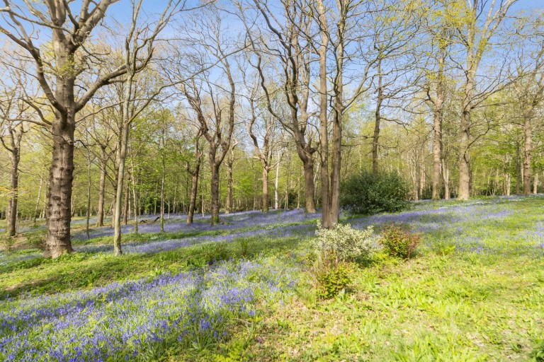 Images for Westfield Lane, St Leonards-on-Sea, East Sussex