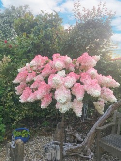 Images for Westfield Road, Lymington, SO41