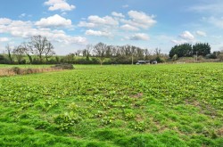 Images for Temple Cloud, Bristol, Somerset