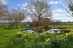 Images for Pinkney Lane, Lyndhurst, SO43