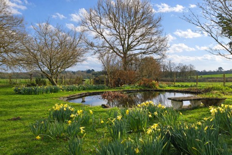 Click the photo for more details of Pinkney Lane, Lyndhurst, SO43