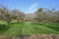 Images for Forest Edge Road, Crow, Ringwood, BH24