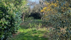 Images for Bath Road, Wells, Somerset