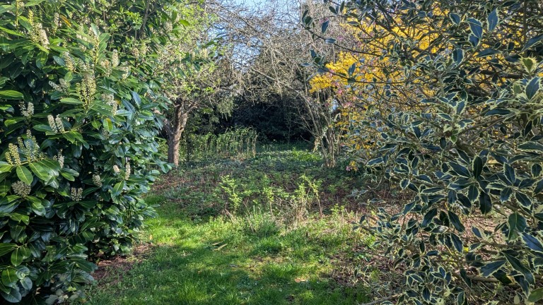 Images for Bath Road, Wells, Somerset