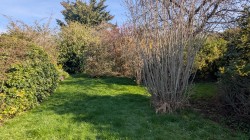 Images for Bath Road, Wells, Somerset