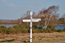 Images for Pages Lane, East Boldre, Brockenhurst, SO42