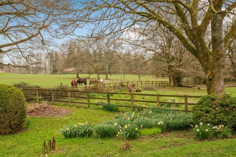 Images for Vereley, Burley, Ringwood, BH24