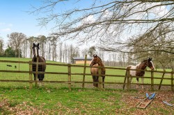 Images for Vereley, Burley, Ringwood, BH24