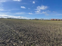 Images for Broadway, Edington, Somerset