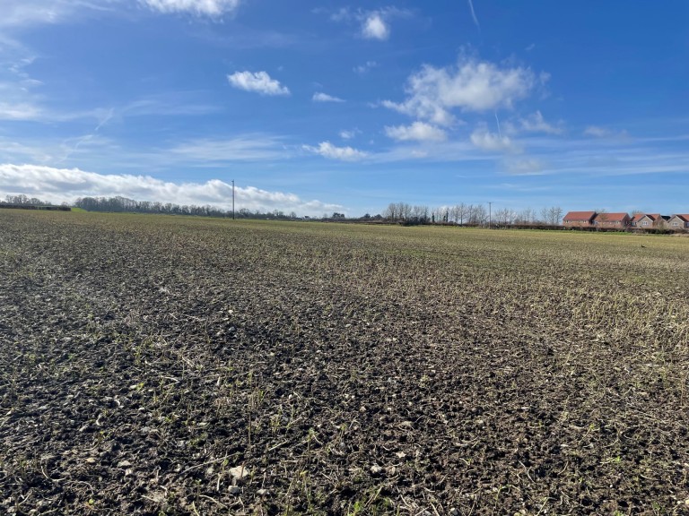 Images for Broadway, Edington, Somerset