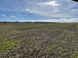 Images for Broadway, Edington, Somerset