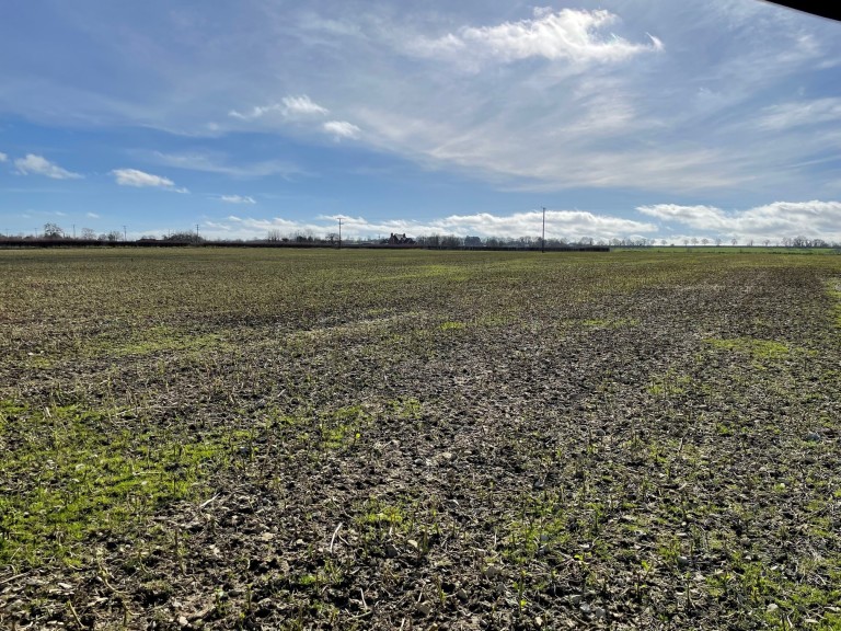 Images for Broadway, Edington, Somerset