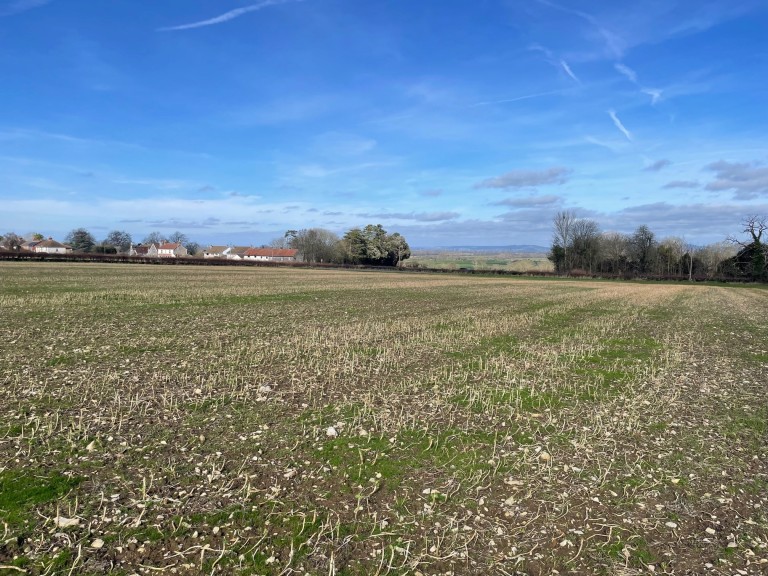 Images for Redlands Lane, Edington, Somerset