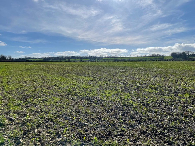 Images for Redlands Lane, Edington, Somerset