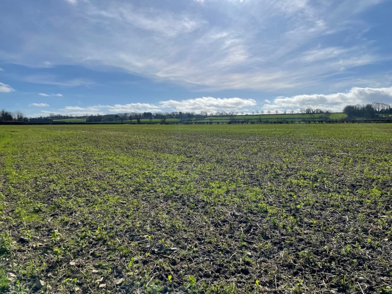 Click the photo for more details of Redlands Lane, Edington, Somerset