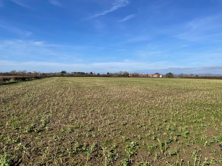 Images for Redlands Lane, Edington, Somerset